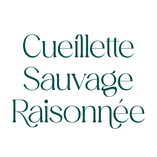 Cueillette Sauvage Raisonnée